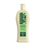 7898126404528-Condicionador-Antiqueda-Jaborandi-500mL