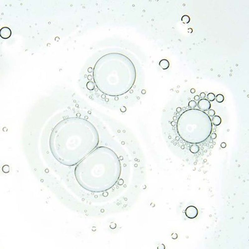 creme-baume-lavanda-cicabio-2