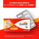 Anador 1g Com 20 Comprimidos