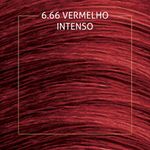 7891350038958-TinturadeCabeloBiocolorVermelhoIntensodeArrasar6.66-1.jpg