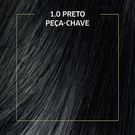 Tinta de Cabelo Biocolor Mini Kit Preto Fundamental 1.0