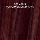 Tinta de Cabelo Biocolor Mini Kit Acaju Púrpura 5.59