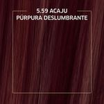 7891350033489-TintadeCabeloBiocolorMiniKitAcajuPurpura5.59-1.jpg