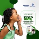 Zinco Kids Catarinense 100ml