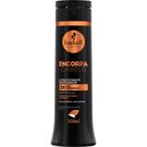 Condicionador Haskell Encorpa Cabelo 300ml