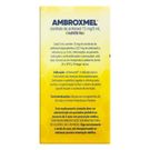 Ambroxmel Pediátrico Xarope 120ml