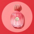 Perfume Banderas The Icon Splendid Feminino 100ml