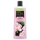 Sabonete Líquido Lux Botanicals Rosas Francesas 650ml