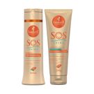 Shampoo 300ml + Creme Para Pentear 240g Haskell SOS Verão