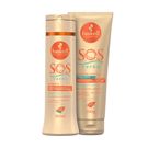 Shampoo 300ml + Creme Para Pentear 240g Haskell SOS Verão