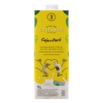 bebida-vegetal-atal-da-castanha-caju-para-1-litro