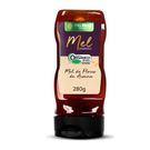 Mel Melbras Orgânico Aroeira 280g