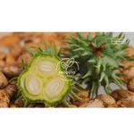 oleo-de-ricino-farmax-puro-de-uso-capilar-100ml-3