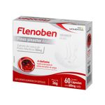 flenoben-pinus-pinaster-ainton-600mg-60-comprimidos.jpg