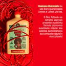 Shampoo Lola Meu Cacho Minha Vida 500ml