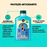 shampoo-fortificante-lola-danos-vorazes-250ml-1.jpg