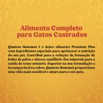 racao-quatree-goumert-gatos-castrados-mix-de-carnes-3kg-3.jpg