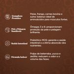 racao-cachorro-quatree-gourmet-racas-medias-e-grandes-101kg-2.jpg