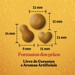 racao-cachorro-quatree-gourmet-racas-medias-e-grandes-15kg-4.jpg