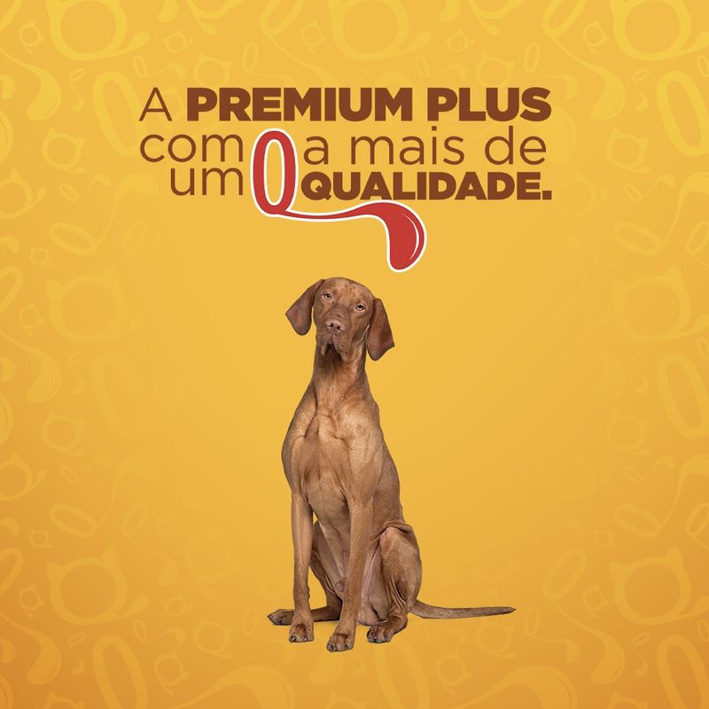 racao-cachorro-quatree-gourmet-racas-medias-e-grandes-15kg-9.jpg