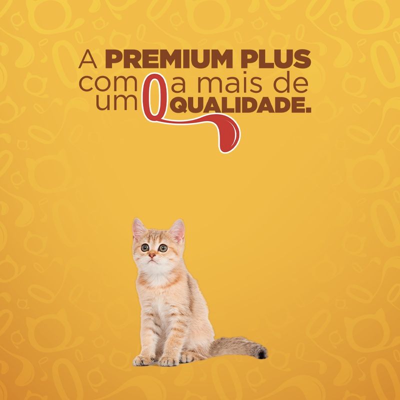 racao-quatree-goumert-1kg-gatos-filhotes-9.jpg