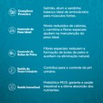 racao-quatree-gourmet-gatos-castrados-delicias-do-mar-10-1kg-4.jpg