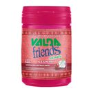 Valda Friends Ice Chery Sem açucar 50g