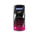 Engov Up Morango Kiwi 269ml
