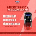 7896094928367-EngovUpMelancia269ml-2.jpg
