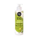 Acidificante Salon Line Meu Liso Escudo Antiporosidade 240ml