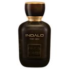 Perfume Indalo Paris Elysees Masculino 100ml