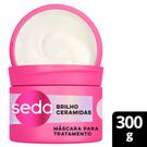Máscara de Tratamento Seda Brilho Ceramidas 300g