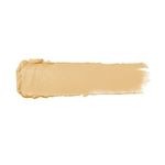 corretivo-stick-cover-by-franciny-ehlke-c-02-4g-4