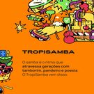 Bebida Tial Pley By Ney Tropisamba 250ml